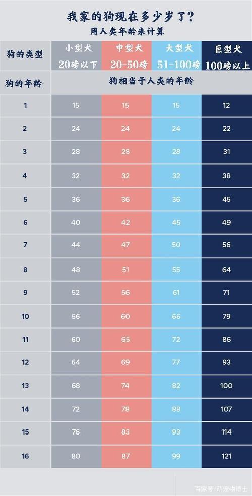 狗狗年龄对照表(狗狗年龄对照表) - 警犬训练器材厂家 _警犬训练用品_工作犬训练用品-南京开久警犬装备-警犬训练器材厂家 _警犬训练用品_工作犬训练用品-南京开久警犬装备