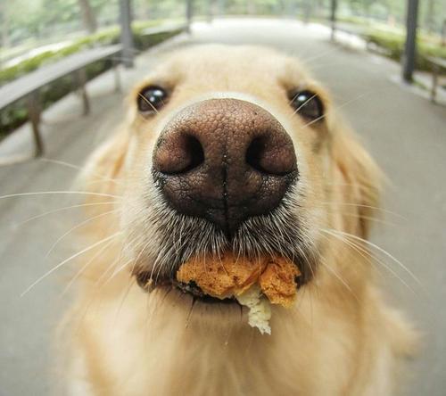 20221118183353_15295 20221118183353_15295