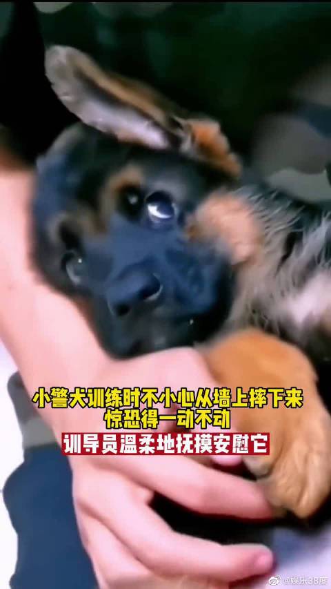 20221119101003_27845