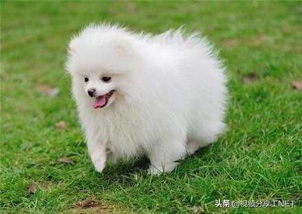 20221119193427_88052 20221119193427_88052