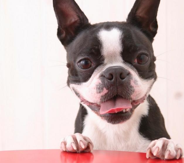 20221119201154_27985