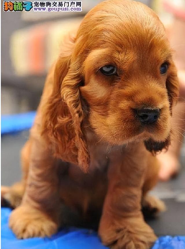 20221120131842_33328