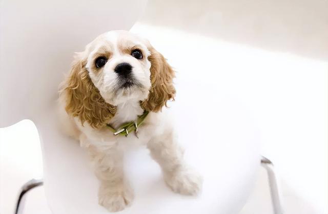 20221120131842_52966