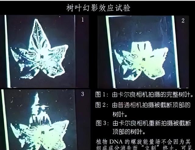 20221120204314_13213 20221120204314_13213