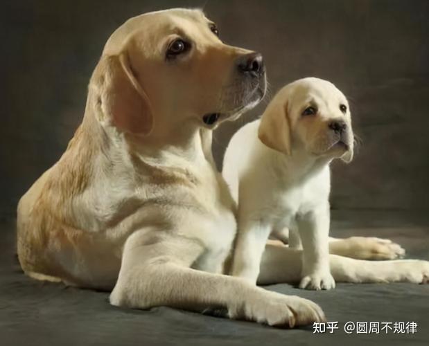 20221121105351_76137