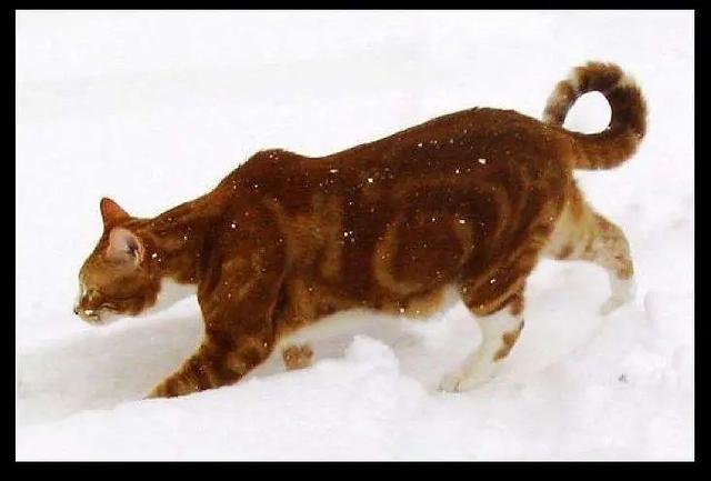 20221121140516_52509 20221121140516_52509