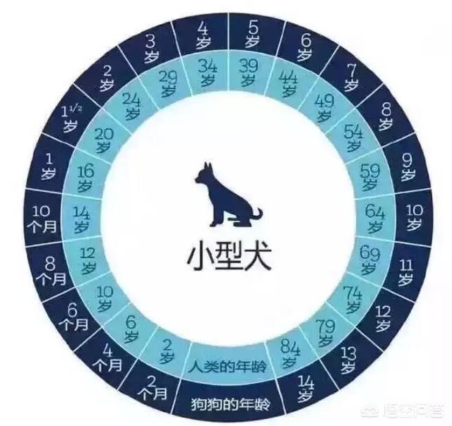 20221121170451_63602 20221121170451_63602