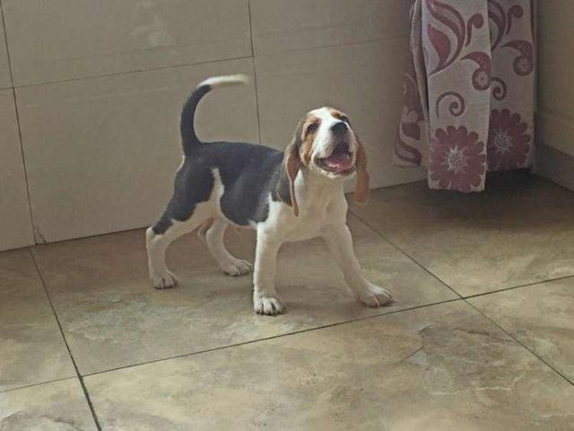 20221121170635_34816