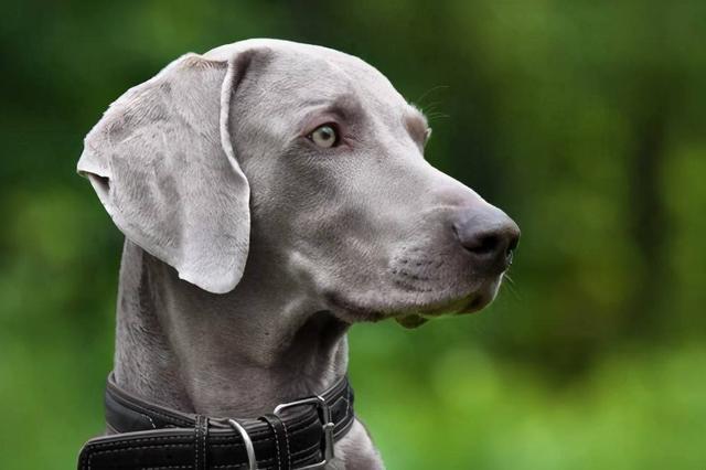 20221121171816_47237 20221121171816_47237