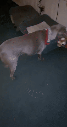 20221121171817_77048 20221121171817_77048