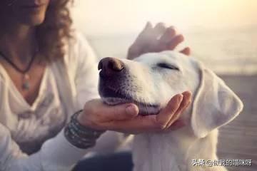 20221121182744_77810 20221121182744_77810