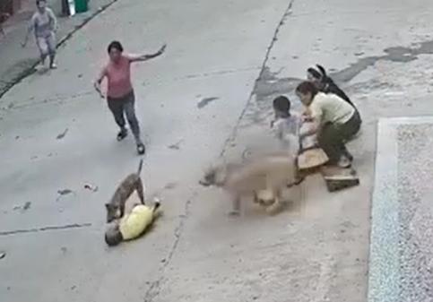 20221123113946_10693 20221123113946_10693