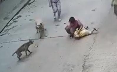 20221123113946_46434 20221123113946_46434