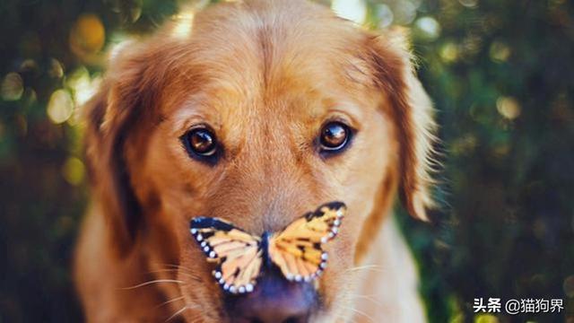 20221123184112_54213 20221123184112_54213