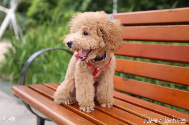 20221123195040_60599 20221123195040_60599