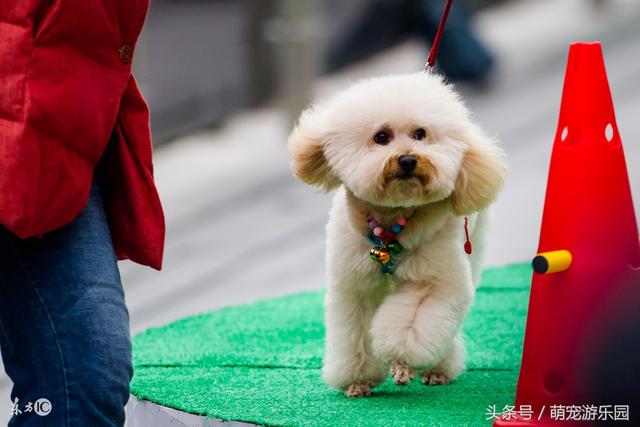 20221123195040_67566 20221123195040_67566