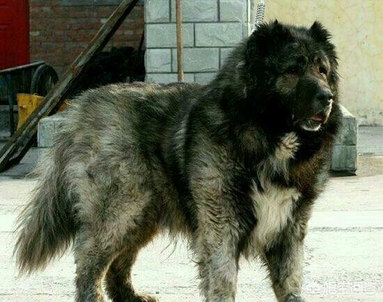 20221123210114_66784 20221123210114_66784