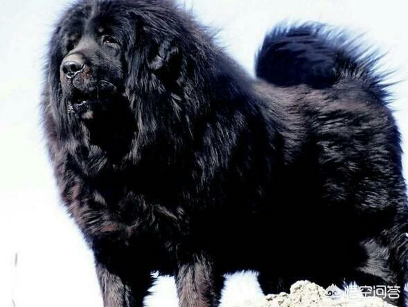 20221123210115_24665 20221123210115_24665