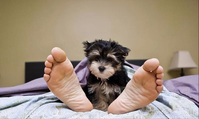 20221124152301_10410 20221124152301_10410