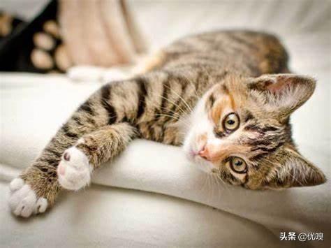 20221124190020_47820