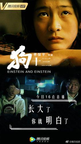 狗十三是什么狗(狗十三为什么叫狗十三)-警犬训练器材厂家 _警犬训练用品_工作犬训练用品-南京开久警犬装备