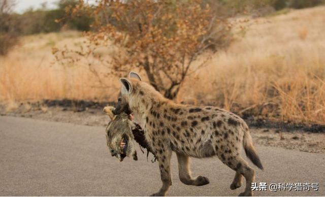 20221125092141_13009 20221125092141_13009