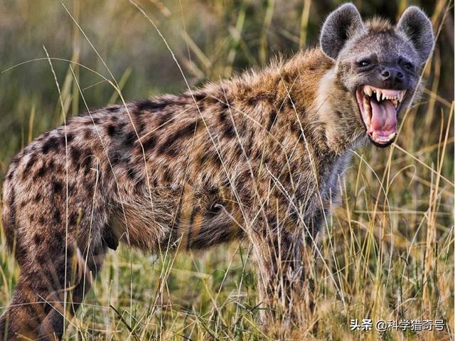 20221125092141_62739 20221125092141_62739