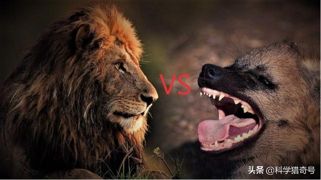 20221125092141_85286 20221125092141_85286