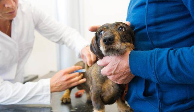 20221125200010_86625