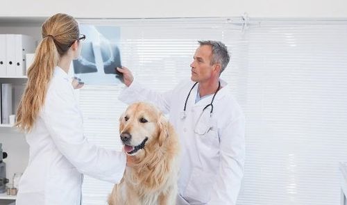 20221125200010_98453