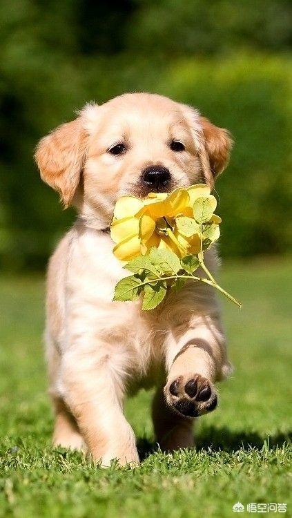 20221125200629_93780 20221125200629_93780