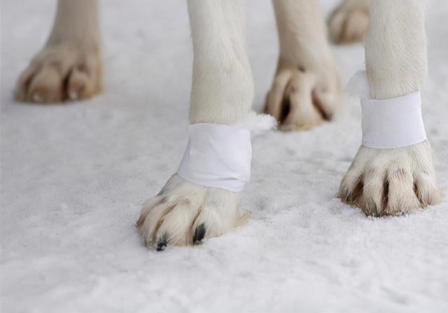 20221204185915_14929