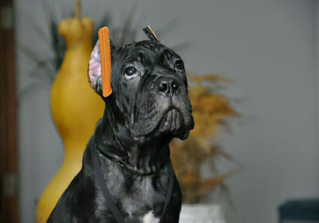 20221204185915_95415