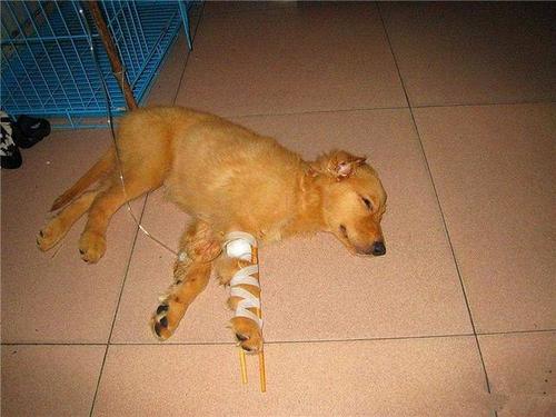 20221204191250_50937 20221204191250_50937