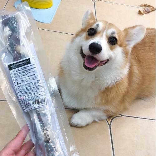 狗狗什么时候吃零食(狗狗需要吃零食吗)-警犬训练器材厂家 _警犬训练用品_工作犬训练用品-南京开久警犬装备