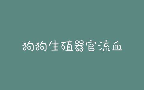 狗狗生殖器官流血-警犬训练器材厂家 _警犬训练用品_工作犬训练用品-南京开久警犬装备