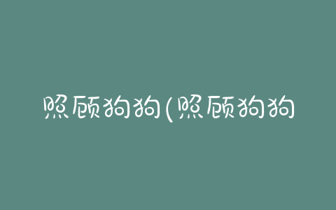 照顾狗狗(照顾狗狗需要注意什么)-警犬训练器材厂家 _警犬训练用品_工作犬训练用品-南京开久警犬装备
