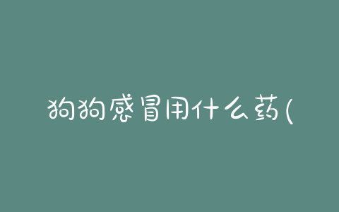 狗狗感冒用什么药(狗狗感冒了能吃人的感冒药吗)-警犬训练器材厂家 _警犬训练用品_工作犬训练用品-南京开久警犬装备