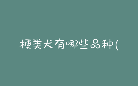 梗类犬有哪些品种(梗类犬)-警犬训练器材厂家 _警犬训练用品_工作犬训练用品-南京开久警犬装备
