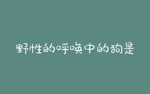 野性的呼唤中的狗是什么狗(野性的呼唤buck是什么狗)-警犬训练器材厂家 _警犬训练用品_工作犬训练用品-南京开久警犬装备