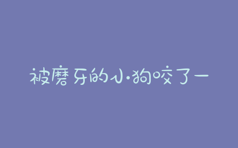 被磨牙的小狗咬了一下-警犬训练器材厂家 _警犬训练用品_工作犬训练用品-南京开久警犬装备