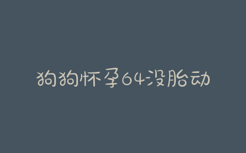 狗狗怀孕64没胎动-警犬训练器材厂家 _警犬训练用品_工作犬训练用品-南京开久警犬装备