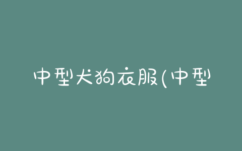 中型犬狗衣服(中型犬适合看家的狗)-警犬训练器材厂家 _警犬训练用品_工作犬训练用品-南京开久警犬装备