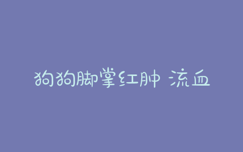 狗狗脚掌红肿 流血 狗狗脚掌红肿流血-警犬训练器材厂家 _警犬训练用品_工作犬训练用品-南京开久警犬装备