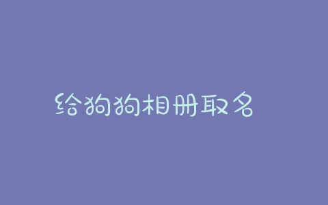 给狗狗相册取名 黑色狗狗取名-警犬训练器材厂家 _警犬训练用品_工作犬训练用品-南京开久警犬装备