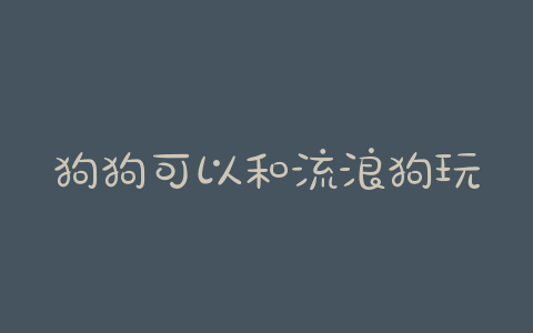 狗狗可以和流浪狗玩吗？狗狗喜欢和流浪狗玩-警犬训练器材厂家 _警犬训练用品_工作犬训练用品-南京开久警犬装备