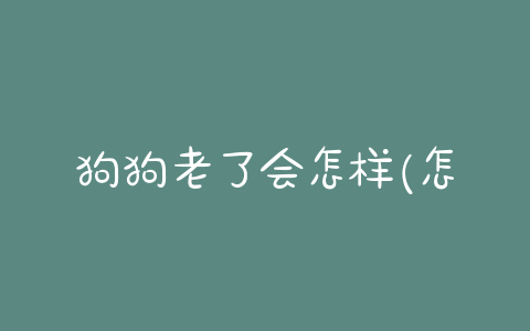 狗狗老了会怎样(怎样给狗狗打针)-警犬训练器材厂家 _警犬训练用品_工作犬训练用品-南京开久警犬装备
