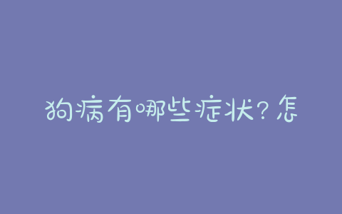 狗病有哪些症状?怎么治疗?(人得了狗病有哪些症状)-警犬训练器材厂家 _警犬训练用品_工作犬训练用品-南京开久警犬装备