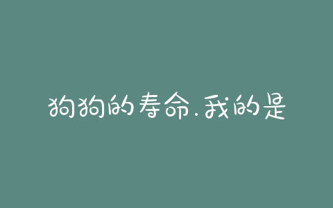 狗狗的寿命.我的是博美(博美狗狗的寿命一般是几年)-警犬训练器材厂家 _警犬训练用品_工作犬训练用品-南京开久警犬装备