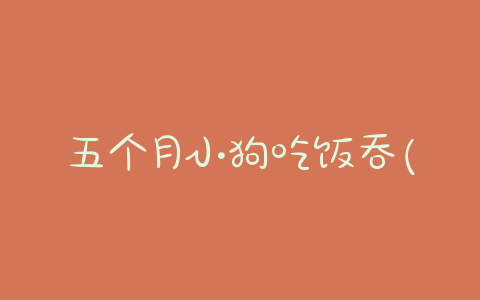 五个月小狗吃饭吞(小狗吃饭直接吞下去)-警犬训练器材厂家 _警犬训练用品_工作犬训练用品-南京开久警犬装备